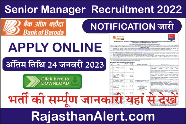 Bank of Baroda Recruitment 2023, BOB Senior Manager Bharti 2023, How To Apply Bank of Baroda Senior Manager Recruitment 2023, Official Notification, Vacancy Details, Age Limit, Application Fees, Education Qualification, Selection Process, Important Links, Date